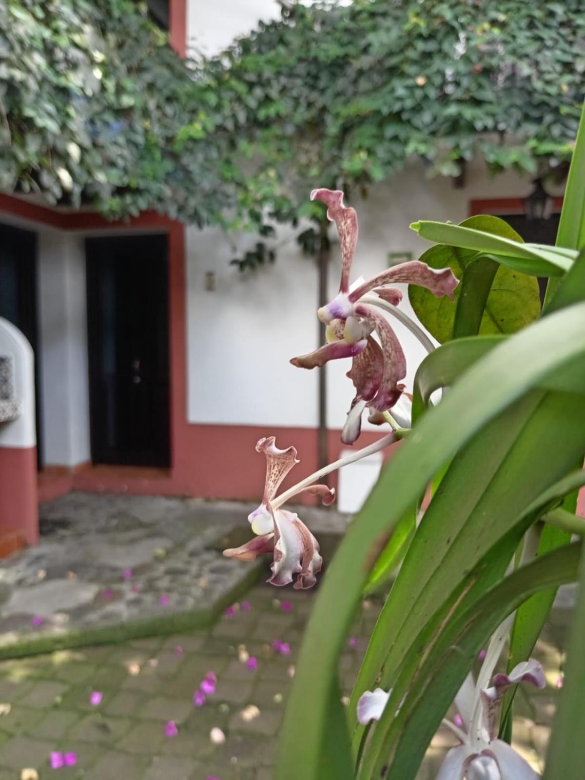 Hotel Boutique Casabella Coatepec  Dış mekan fotoğraf