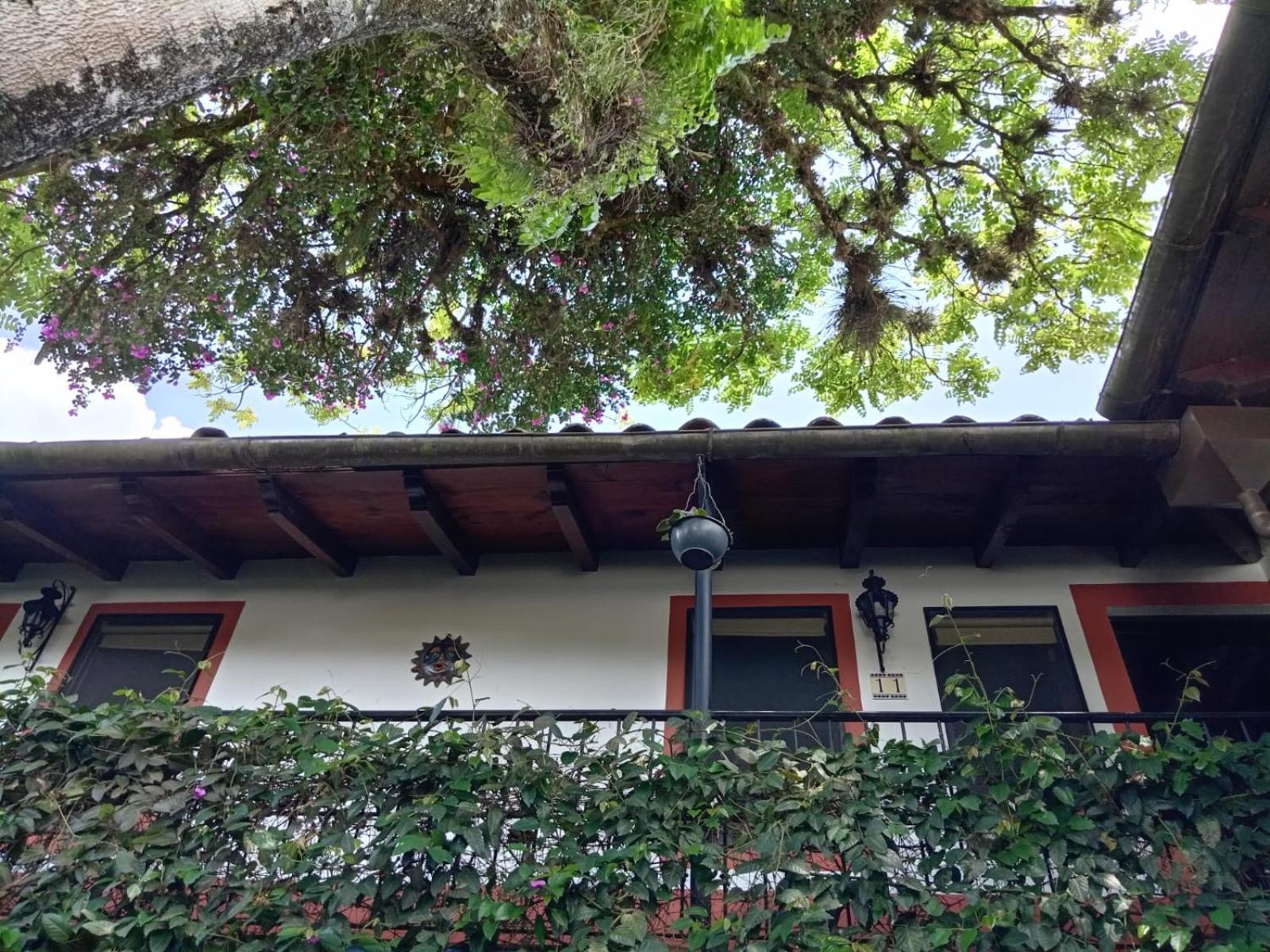 Hotel Boutique Casabella Coatepec  Dış mekan fotoğraf