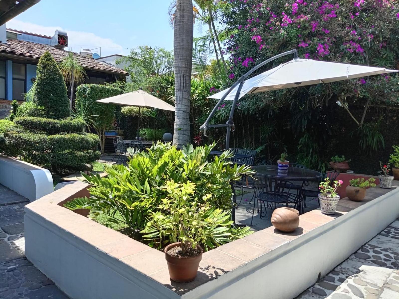 Hotel Boutique Casabella Coatepec  Dış mekan fotoğraf