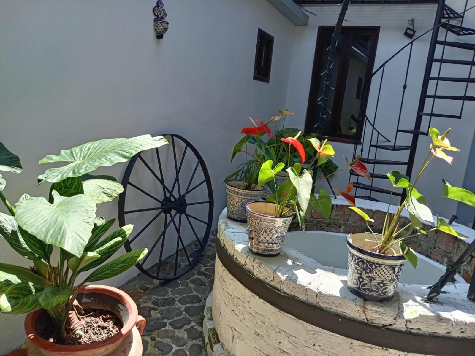 Hotel Boutique Casabella Coatepec  Dış mekan fotoğraf